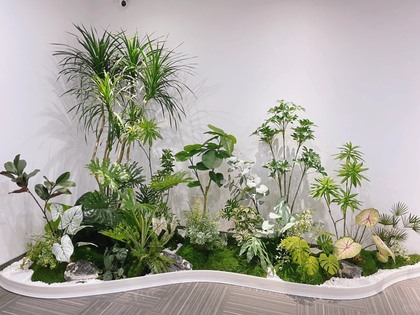 余姚植物租赁公司，开启绿色办公的全新篇章